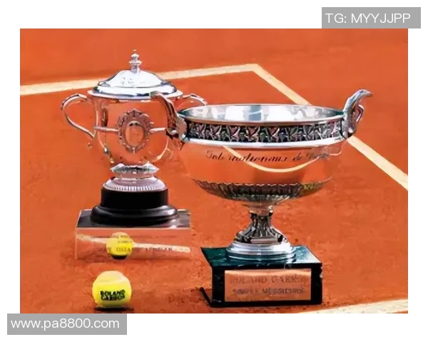 深度对话赵芳的网球人生与奋斗历程的启示与反思