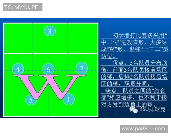 赛后分析：成都与广州排球队在比赛中的战术灵活性对比研究