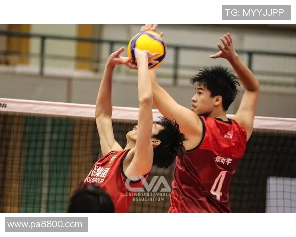 对话张伟：回顾排球生涯中的挑战与成就分享