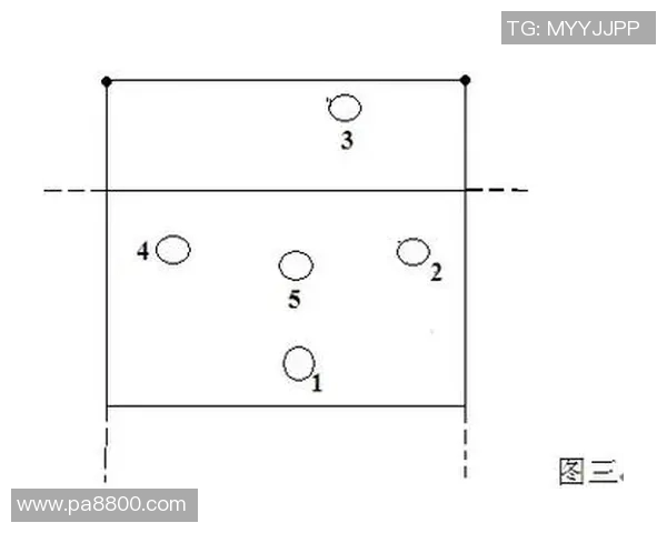 南京排球队的转换体系与战术分析探讨排球竞技的创新与发展