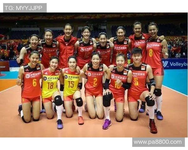 广州排球队实力深度分析与未来发展展望