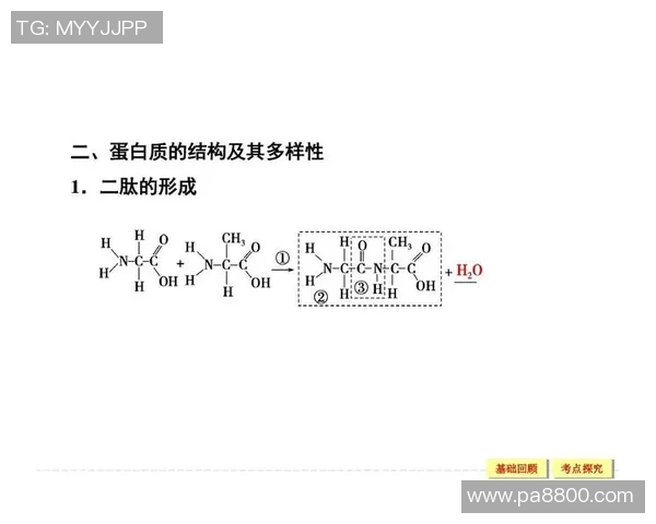 深圳乒乓球队的节奏体系与战术运用探究及其对比赛的影响分析