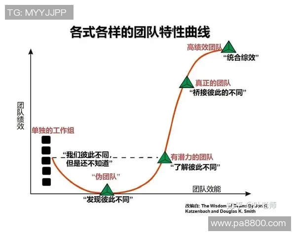 深圳羽毛球队战术解析：聚焦技术与团队协作的完美结合