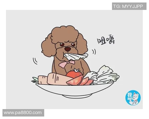 赵静独家分享篮球心得与技巧助你提升球技的全面指南 赵静独家分享篮球心得与技巧助你提升球技的全面指南