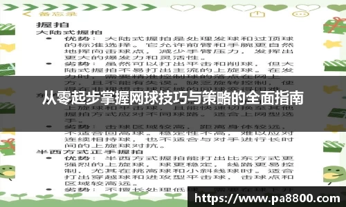 从零起步掌握网球技巧与策略的全面指南