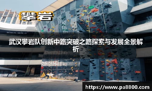武汉攀岩队创新中路突破之路探索与发展全景解析